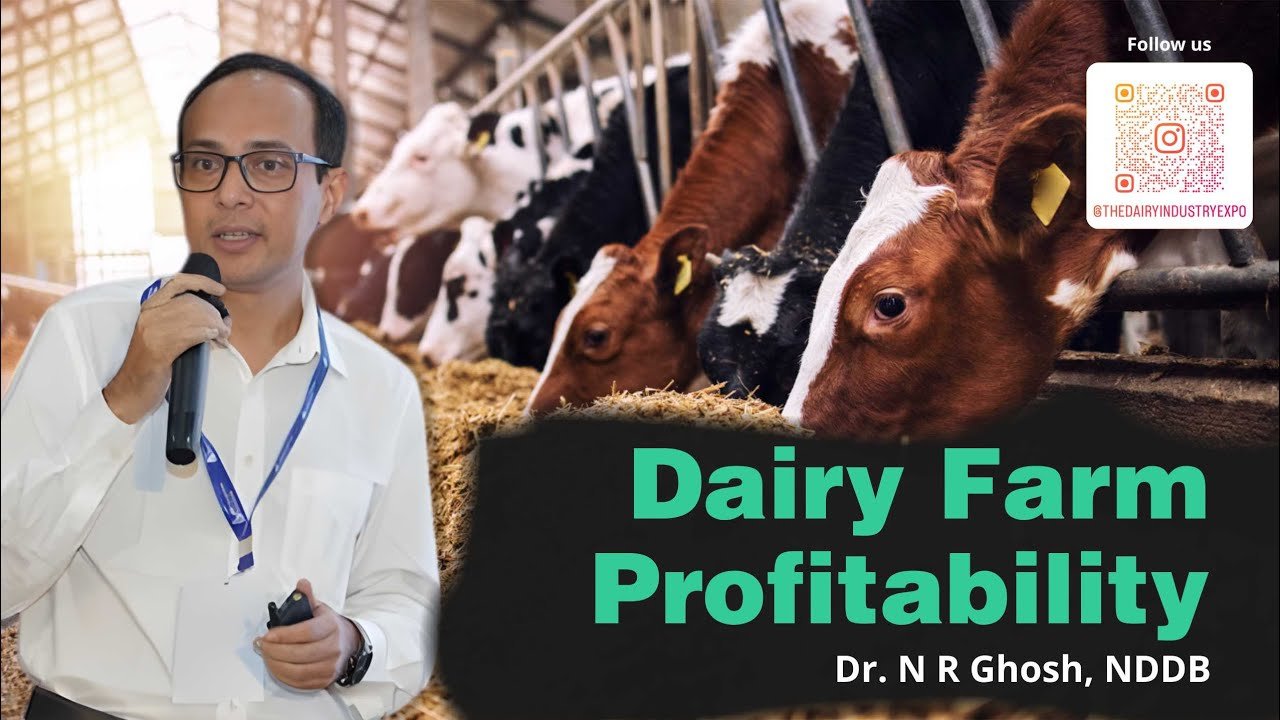 Optimizing Dairy Productivity and Profitability with Scientific Nutrition